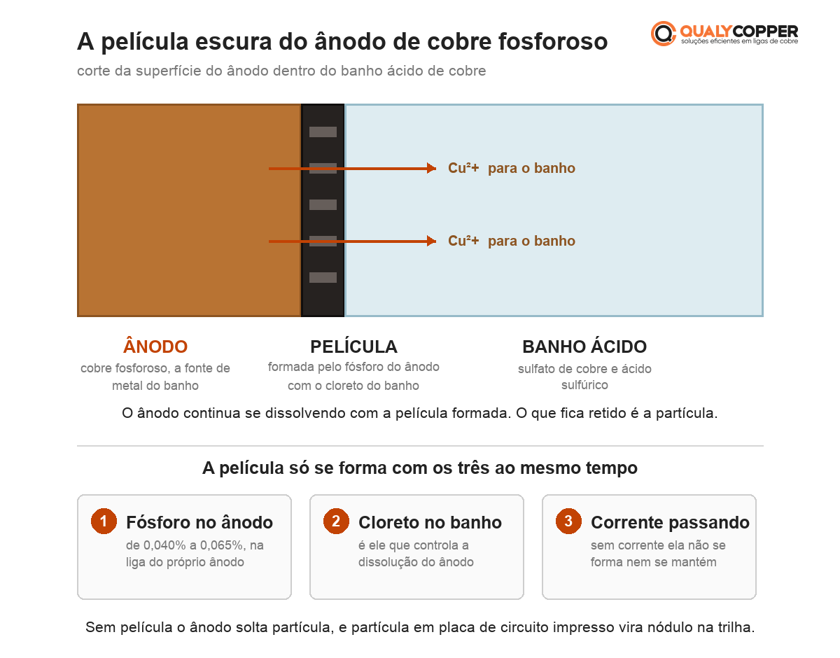 Corte da superfície do ânodo de cobre fosforoso dentro do banho ácido: o corpo de cobre, a película escura formada pelo fósforo do ânodo com o cloreto do banho, e os íons de cobre saindo para o banho.